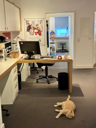 Helles Büro mit einem Schreibtisch und einem entspannten Hund auf dem Boden.